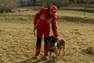 video in muntii maramuresului athos este cainele erou al salvamontistilor stie cand trebuie sa plecam undeva sau cand avem o misiune 6910812a756be