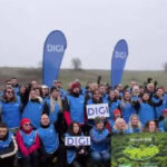 video mii de copaci au fost plantati de angajatii digi daca natura are grija de noi trebuie sa avem si noi grija de natura 691762803b03c