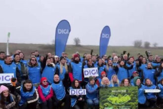 video mii de copaci au fost plantati de angajatii digi daca natura are grija de noi trebuie sa avem si noi grija de natura 691762803b03c