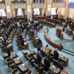 video moment de reculegere in plenul senatului pentru mihaela femeia ucisa cu 15 lovituri de cutit de fostul partener 691211e84d9d7