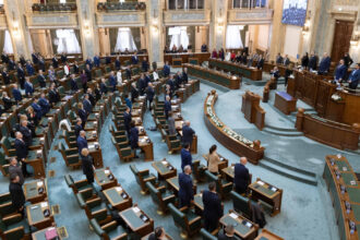 video moment de reculegere in plenul senatului pentru mihaela femeia ucisa cu 15 lovituri de cutit de fostul partener 691211e84d9d7