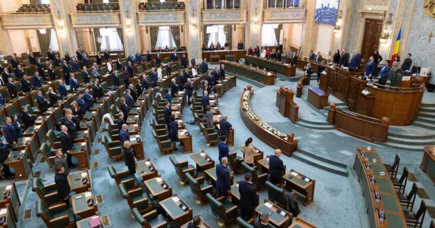 video moment de reculegere in plenul senatului pentru mihaela femeia ucisa cu 15 lovituri de cutit de fostul partener 691211e84d9d7