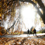 Noiembrie debutează cu o căldură surprinzătoare. Prognoza meteorologică pentru zilele ce urmează! 2 video noiembrie incepe cu temperaturi de vara meteorologii anunta cum va fi vremea in urmatoarele zile 6905b25456003