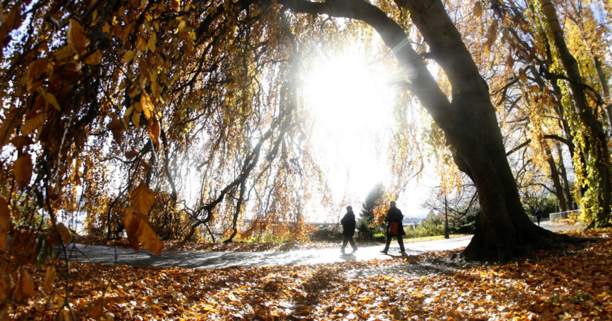 Noiembrie debutează cu o căldură surprinzătoare. Prognoza meteorologică pentru zilele ce urmează! 1 video noiembrie incepe cu temperaturi de vara meteorologii anunta cum va fi vremea in urmatoarele zile 6905b25456003