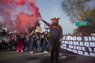 video proteste masive contra guvernului in mexic ciocniri violente cu politia manifestanti dispersati cu gaze lacrimogene 120 de raniti 6919837398e78