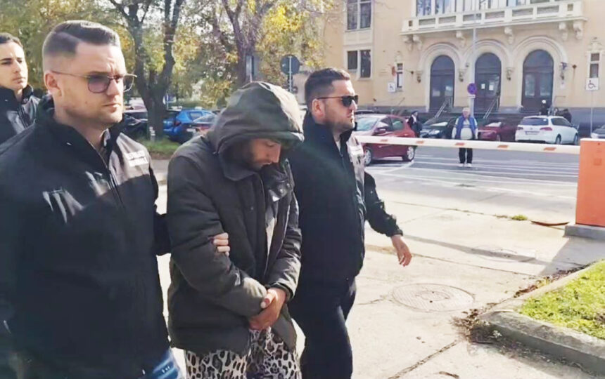 video suspectul crimei din navodari adus in fata judecatorilor imi pare rau a spus acesta la intrarea in sala 691c48b60050a