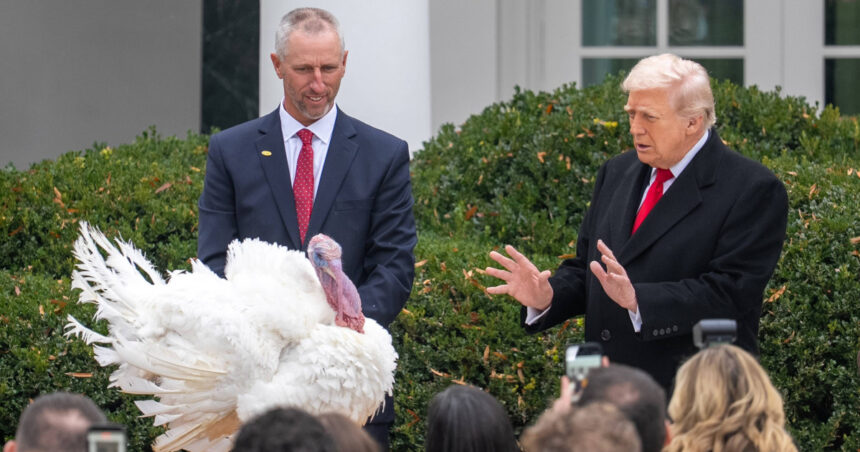 video traditia gratierii curcanilor de ziua recunostintei prilej pentru donald trump de a si ataca rivalii politici grasan neingrijit 6926224110c67