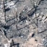 video un nou videoclip arata cum cinci prizonieri de razboi ucraineni intinsi la pamant ar fi fost executati de catre rusi 692471c09a5b8