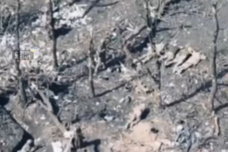 video un nou videoclip arata cum cinci prizonieri de razboi ucraineni intinsi la pamant ar fi fost executati de catre rusi 692471c09a5b8