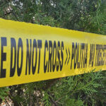 video un tanar de 18 ani din lumina acuzat ca a ucis o femeie din navodari suspectul a facut inchisoare pentru viol 691b55f5cde81