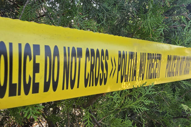 video un tanar de 18 ani din lumina acuzat ca a ucis o femeie din navodari suspectul a facut inchisoare pentru viol 691b55f5cde81