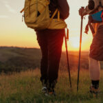 video via dobrogeana traseul turistic de 850 de kilometri care va strabate sud estul romaniei cand ar urma sa fie gata 691c1f596d4a9