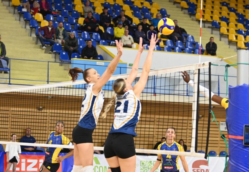 voleibalistele de la csm constanta dau un examen dur cu dinamo bucuresti in sala sporturilor 690ddff0371d1