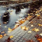 vreme calda in dobrogea maine temperaturile maxime vor urca pana la 21 de grade 691eebb575aaf