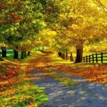 vremea se incalzeste din nou in dobrogea vezi prognoza meteorologica 6924238125972