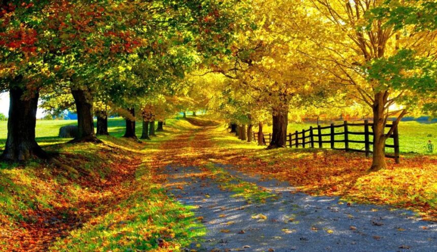 vremea se incalzeste din nou in dobrogea vezi prognoza meteorologica 6924238125972