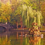 vremea se incalzeste din nou zonele in care vor fi 20 de grade prognoza anuntata de meteorologi pentru saptamana viitoare 6915a0748eaac