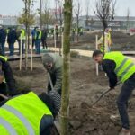 ziua dobrogei marcata la constanta printr o actiune de plantare in zona perdeaua verde 6917563d8619d