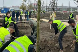 ziua dobrogei marcata la constanta printr o actiune de plantare in zona perdeaua verde 6917563d8619d