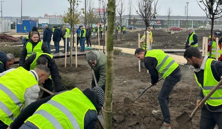 ziua dobrogei marcata la constanta printr o actiune de plantare in zona perdeaua verde 6917563d8619d