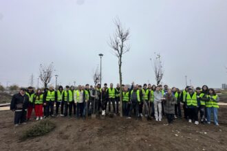 ziua dobrogei sarbatorita printr o actiune de plantare in parcul perdeaua verde din constanta 69176508bafca