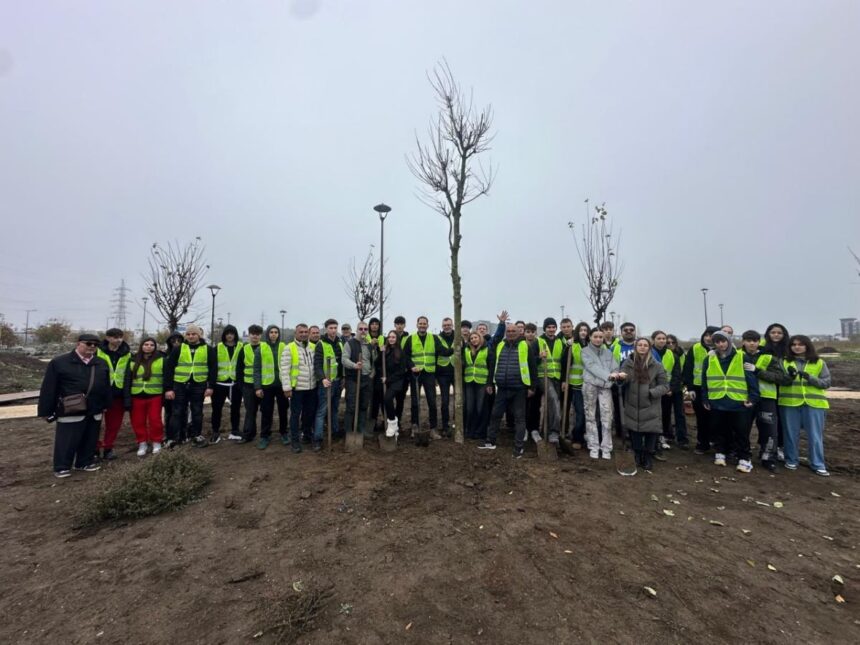 ziua dobrogei sarbatorita printr o actiune de plantare in parcul perdeaua verde din constanta 69176508bafca