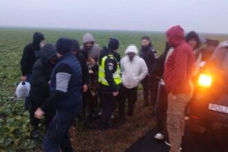 14 cetateni straini depistati intre negru voda si cerchezu iata ce spun politistii de frontiera 694e5e186e68c