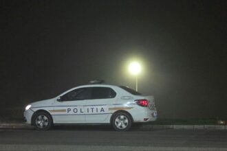 a fost identificat transportul din care ar fi cazut lesurile de animale care au blocat a2 ansamblu auto cu acte neconforme depistat in baraganu 693a550bbb7e4