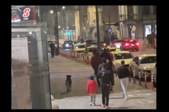 accident rutier langa tomis mall pe strada mihai viteazu din constanta a fost chemata ambulanta 692f3595ea140