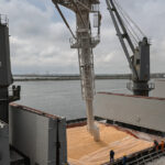 al dahra holding va pleca din comertul cu cereale din romania in 2026 cum a ajuns piata intr o lipsa totala de control 693afe5617e72