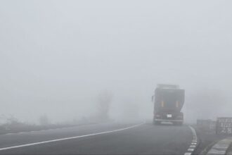 alerta de ceata in tot judetul constanta meteorologii avertizeaza ca pe sosele se va forma ghetus 694253023833a