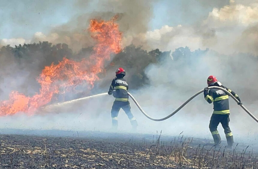 arde o stana de oi din comuna topalu intervin mai multe autospeciale 693a826d6929c