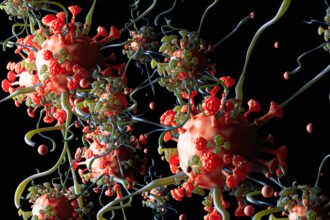 celulele umane imbatranite pot fi reincarcate o descoperire care ar putea schimba total medicina 693abaf5c7802