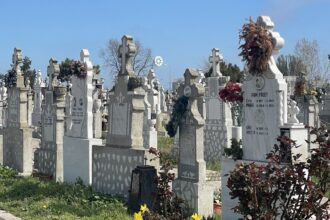 compania casa albastra detinuta de familia buculeasa infiinteaza un nou cimitir in constanta dupa ce primaria emis autorizatia iata unde va fi amenajat 6932ff8051d7d