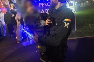 copil de doi ani recuperat de jandarmi la targul de craciun din constanta 693bcc58a367b