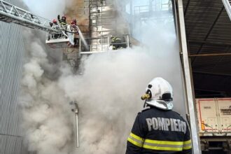 dupa 6 ore a fost lichidat incendiul care a cuprins un uscator de cereale din enisala 693015fecba67