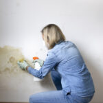 factori care favorizeaza formarea mucegaiului in locuinte cele mai simple metode de prevenire recomandate de specialisti 693e46b471e64