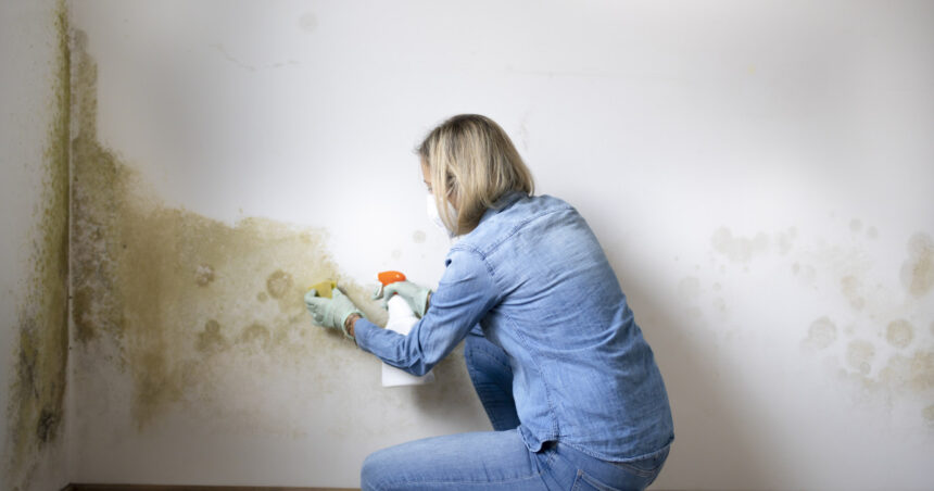 factori care favorizeaza formarea mucegaiului in locuinte cele mai simple metode de prevenire recomandate de specialisti 693e46b471e64