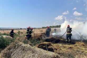 incendiu in ghindaresti judetul constanta ard 5 000 de baloti de paie 692f2e38f013f