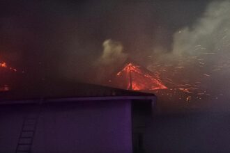 incendiu la un saivan cu animale in medgidia un barbat a fost gasit carbonizat 6943ab94297f0