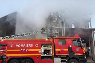 incendiu puternic la un uscator de cereale din enisala judetul tulcea 692ff72045f43