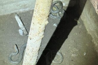 jandarmii tulceni au fost solicitati pentru indepartarea a doi serpi dintr un beci 69368dd8a0fd3