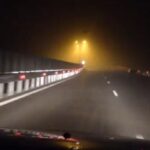 lesuri de ovine imprastiate pe autostrada a2 bucuresti constanta circulatia rutiera deviata pe dn3 693a5f5a2cae6