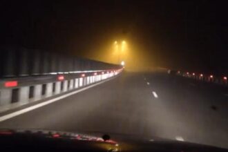 lesuri de ovine imprastiate pe autostrada a2 bucuresti constanta circulatia rutiera deviata pe dn3 693a5f5a2cae6