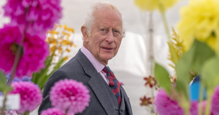 mesajul regelui charles al iii lea pentru romania de ziua nationala va transmitem cele mai calde urari 692d626fcbe29