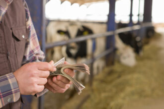 peste 300 de milioane de euro au ajuns la fermierii romani in noiembrie cum au fost impartite fondurile 6938ff9fb4b9e