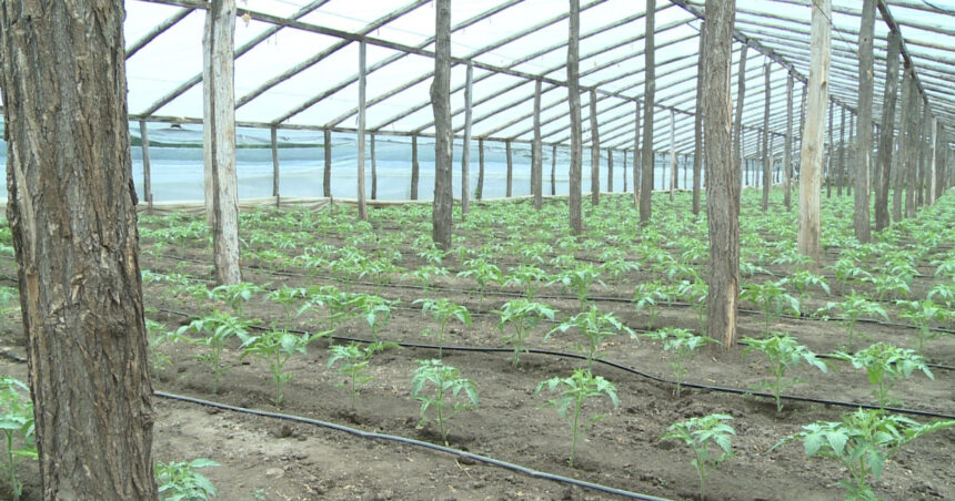 psd va cere in coalitie eliminarea impozitului pe solarii nemultumeste romanii nu aduce bani la buget 6939aa970dbdd