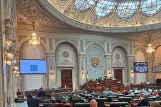 raport de activitate ce au facut cei cinci senatori ai constantei in primul an de mandat 69323d287bffb