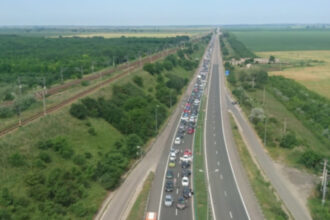resturile de origine animala au cazut pe autostrada a2 dintr un ansamblu auto 693a7055756fa