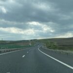 trafic blocat pe a2 bucuresti constanta dupa ce lesuri de animale au ajuns pe carosabil 693a73b3547a2